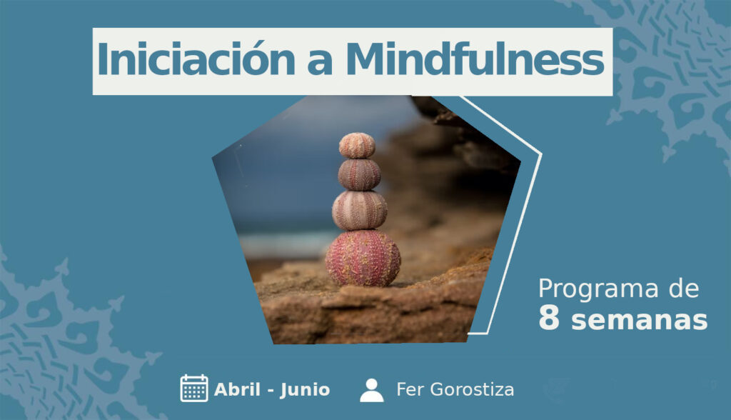 Iniciaci N A Mindfulness Semanas Baraka Integral