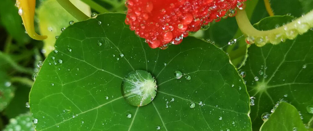 retiros meditación