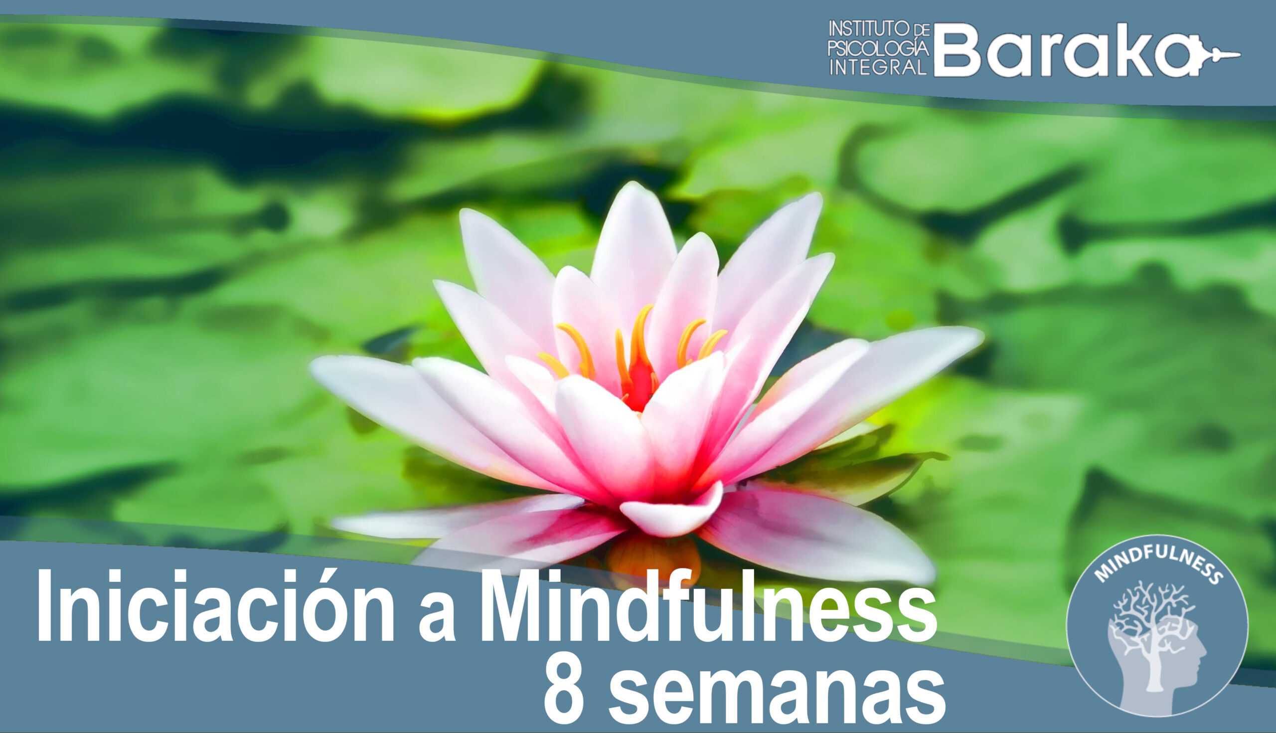 iniciacion mindfulness baraka