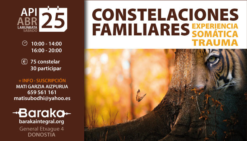 CONSTELACIONES FAMILIARES Y SOMATIC EXPERIENCING