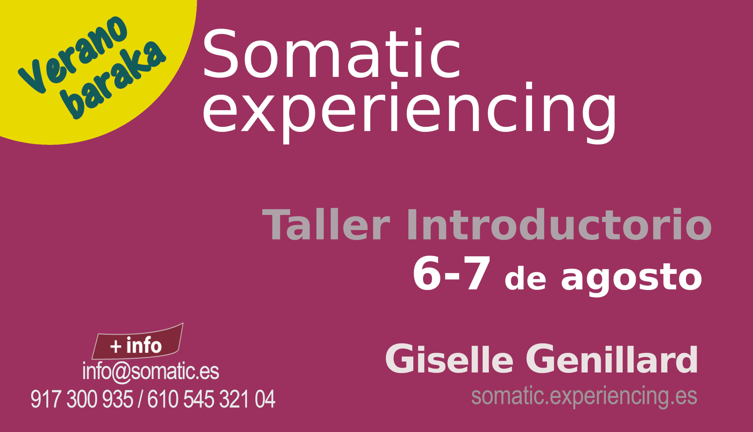 Somatic experiencing taller introductorio